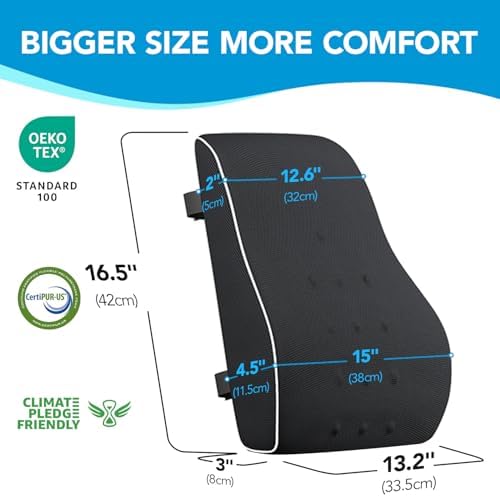 Lumbar Support Pillow for Office Chair, Office Home Essentials,Gifts for Mom,Dad, Back Support Pillow for Car, Chair Cushions,Back Pain Relief Improve Posture,Mesh Cover Double Adjustable Straps|B074C9F45S